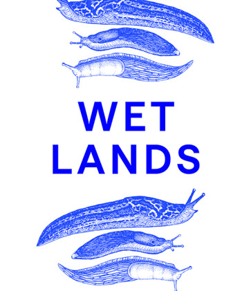 Wet Lands 01 v3