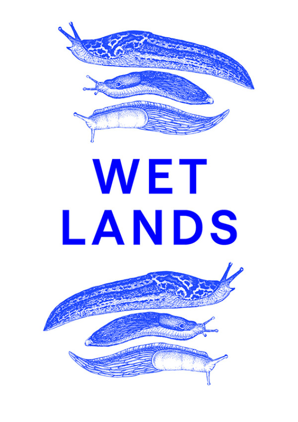Wet Lands 01 v3